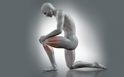 Movilización continua de rodilla